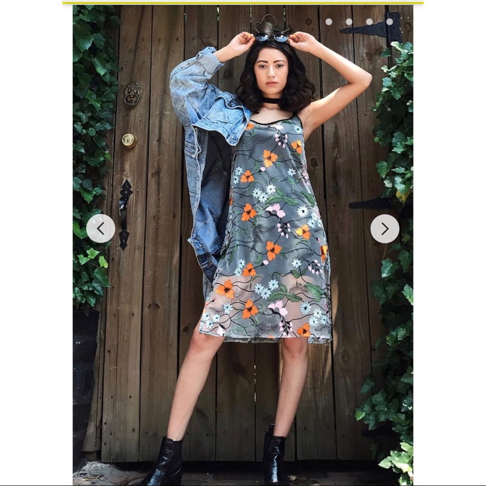 Embroidered Floral Mesh Dress